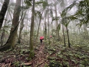 Image showing weather can change quickly and the trail becomes slippery when wet.  