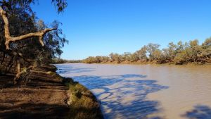Image of the still waters of the Thomson River.