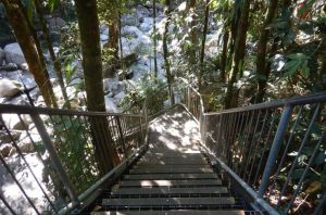 Image of access stairs to bottom pool