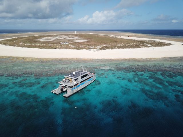 Raine Island National Park (Scientific).