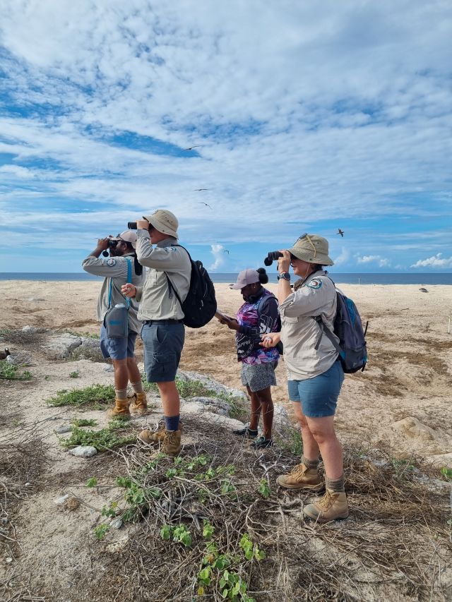 Rangers conducting seabird survey.