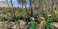 Rangers standing on a fire break road, watching on as a planned burn blazes in the background. 