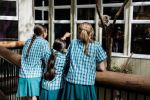 Photo of school children observing female koala, Molly, in her enclosure from viewing boardwalk.