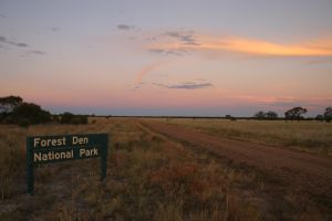 Sunset at Forest Den National Park