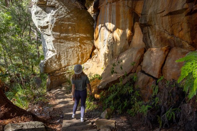 A person hiking to Gudda Gumoo Gorge along a section of the walking track that features 240 steep steps. Person is surrounded by large sandstone formations and greenery, and sunlight illuminates parts of the rocks.