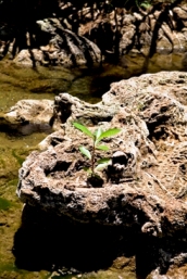 Tufa is porous, brittle rock.
