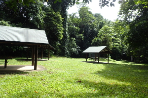 This open camping area is suitable for walk-in and cycle-in campers and high clearance vehicles. 