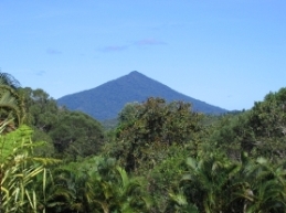 Black Mountain, Mowbray National Park. 