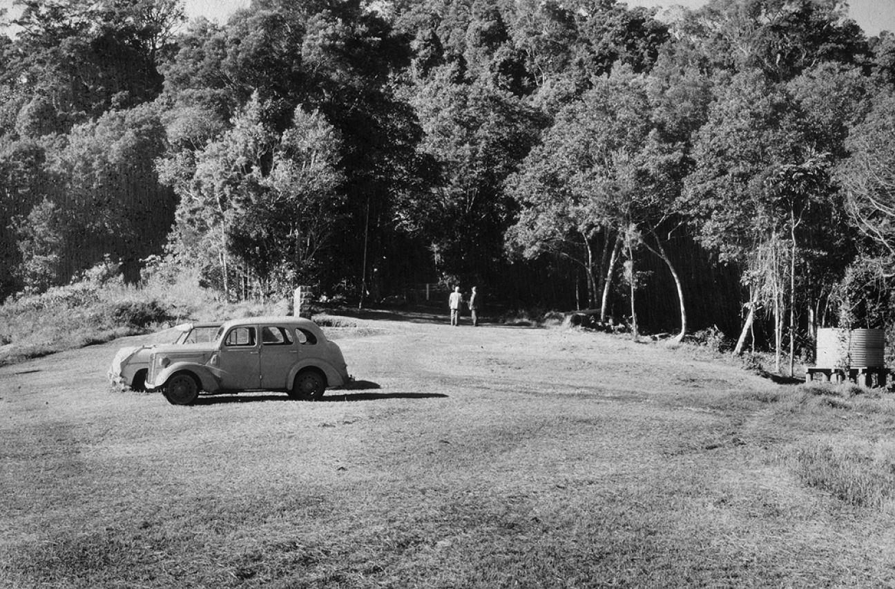 Today this is the day use area at Binna Burra, near the entry to the Border Track.