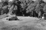 Today this is the day use area at Binna Burra, near the entry to the Border Track.