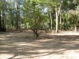 Photo of camp site 3 at Old Faithful Waterhole camping area. 