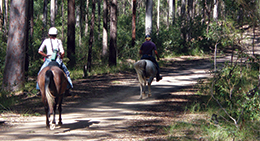 Photo of 2 people horseriding along designated or shared trails.