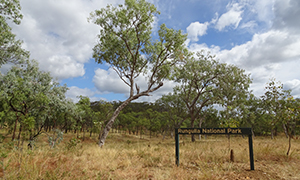 Vegetation communities vary across the park. 