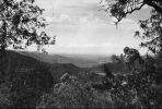 A view to the north from Binna Burra.