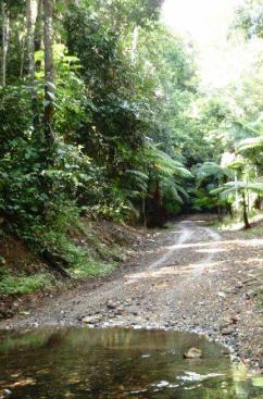 Clohesy River Road.