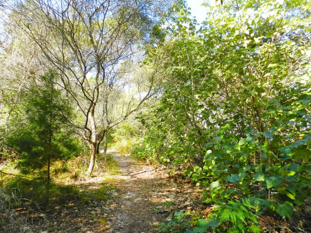 This track is a short walk leading from the car park to Pelican Bay.