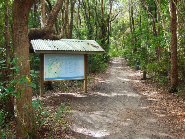 The Alexandria Bay Walk is a sandy track that winds through open woodlands and heathlands to Alexandria Bay.