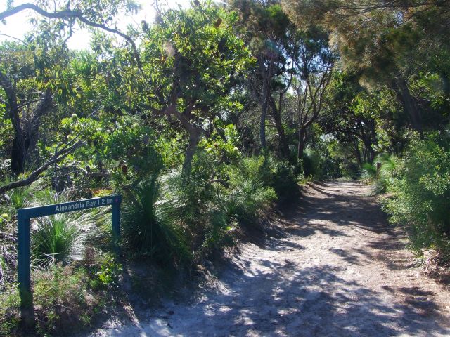Enjoy the contrasting coastal foliage of banksias, casuarinas and grasstrees along the Alexandria Bay Walk.