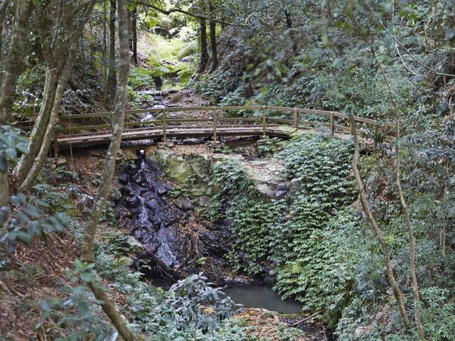 Photo of the popular Scenic circuit which crosses Saddletree Creek.