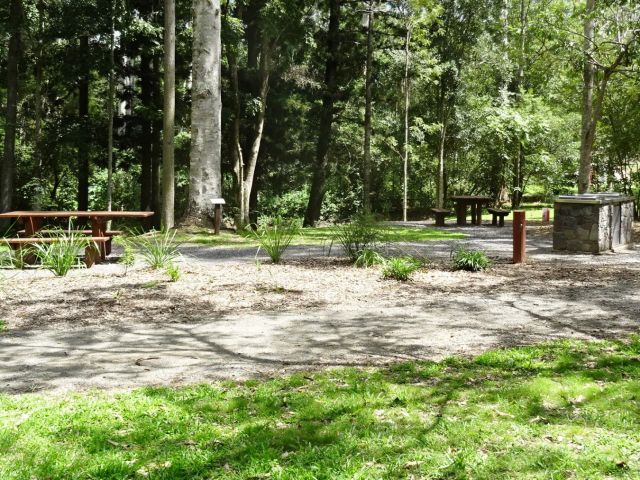 Enjoy a picnic in the shady day-use area.
