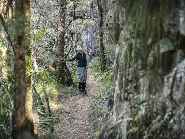 You'll see a fascinating variety of forest and heath.