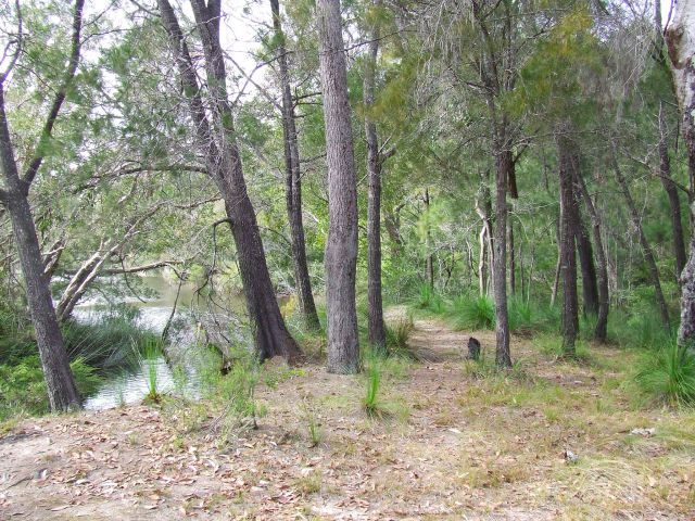 Get a room with a view—pitch your tent and enjoy views to the creek or waterhole at Neebs Waterhole.