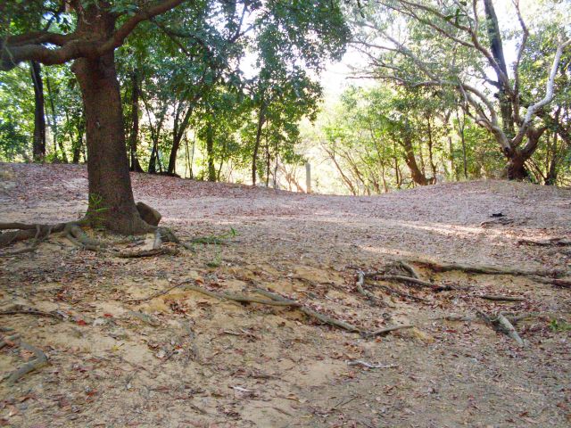 Photo of Midway Waterhole camping area.