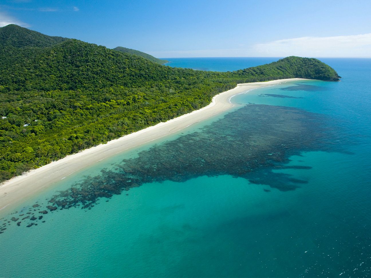 The Cape Tribulation section of Daintree National Park (CYPAL) is where the rainforest meets the reef.
