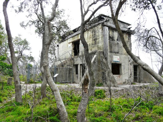 Visit the WWII remnants at Fort Bribie day-use area.