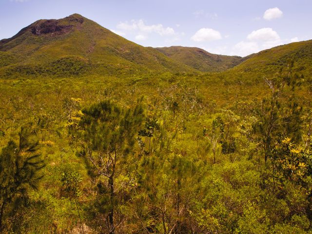This walk offers expansive views over colourful heath country with Mount Tozer in the distance.