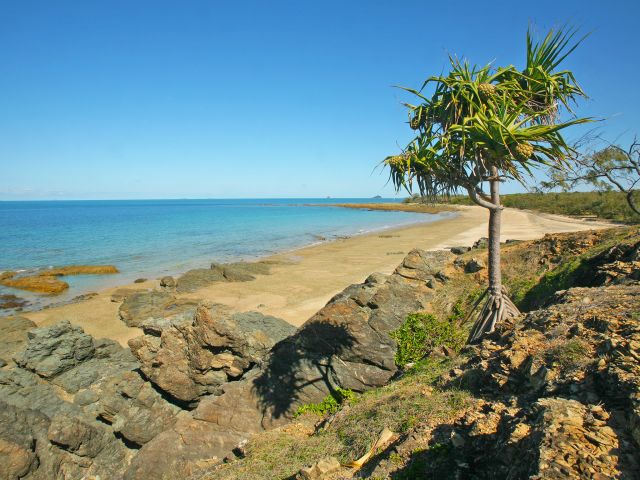 Take in the rugged beauty of Cape Palmerston's rocky headlands on the Cape Palmerston drive.