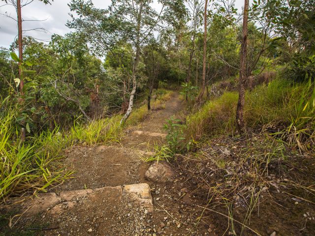Stairs lead down from the day-use area along the Glass House Mountains lookout track.