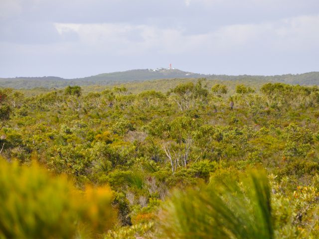 You'll have distant views of the Cape Moreton Lighthouse from Five Hills lookout.