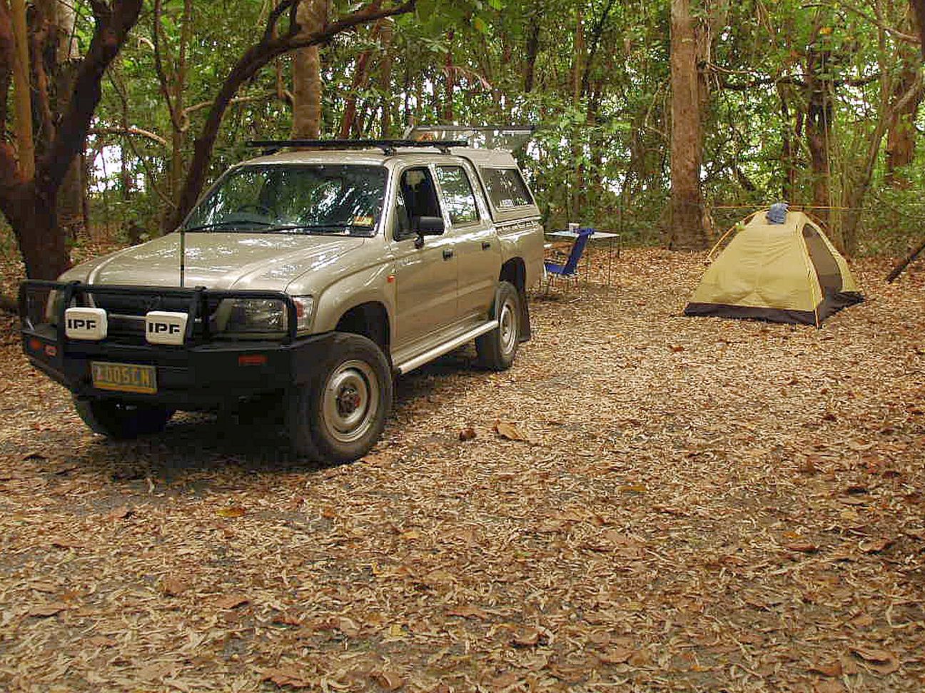 Daintree National Park (CYPAL) Tropical North Queensland
