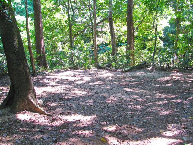 The Rainforest camping area has shady, sheltered camp sites.