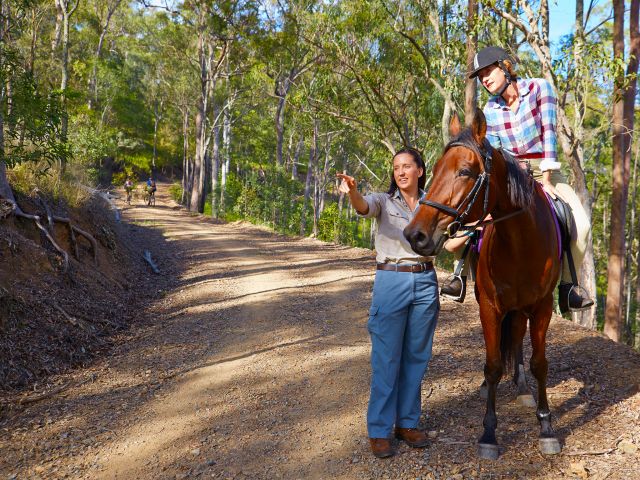 Take your horse along the horseriding trails in D'Aguilar National Park.