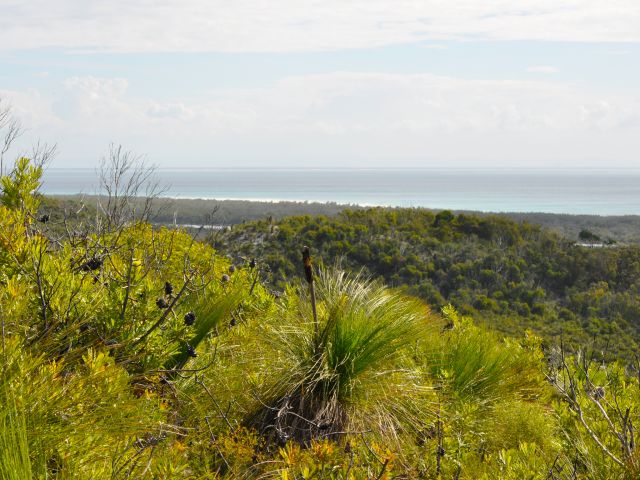 From Five Hills lookout enjoy views over heathland to Heath Island.