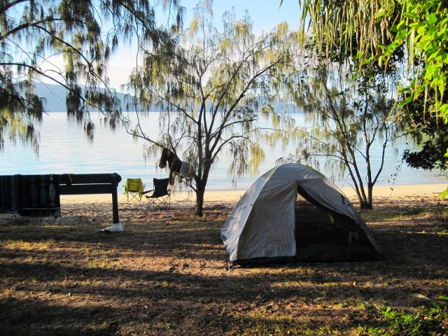 Take in the amazing view from your tent at Curlew Beach camping area.