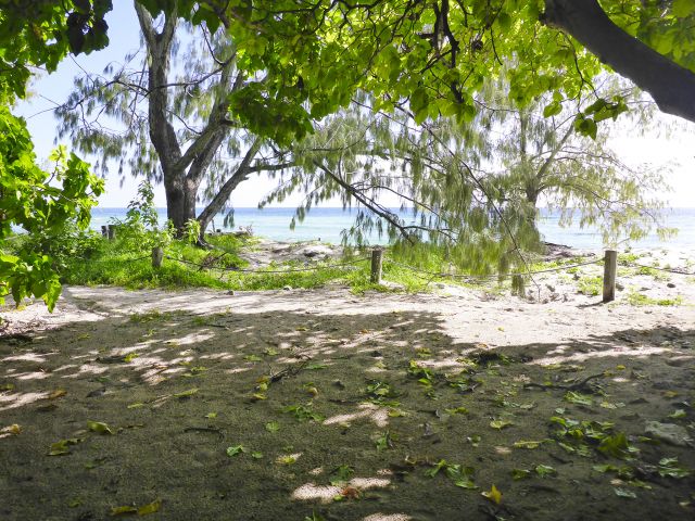 This could be your camp site!