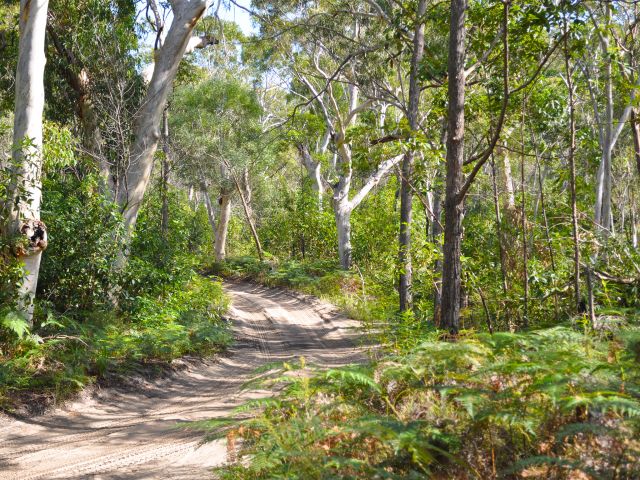 The Desert Road on the Southern Island discovery drive.