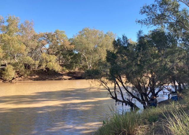 Image of the Barcoo River which is a great place to fish.