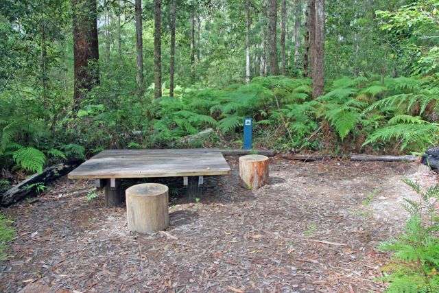 A platform table at Flaxton walkers' camp.