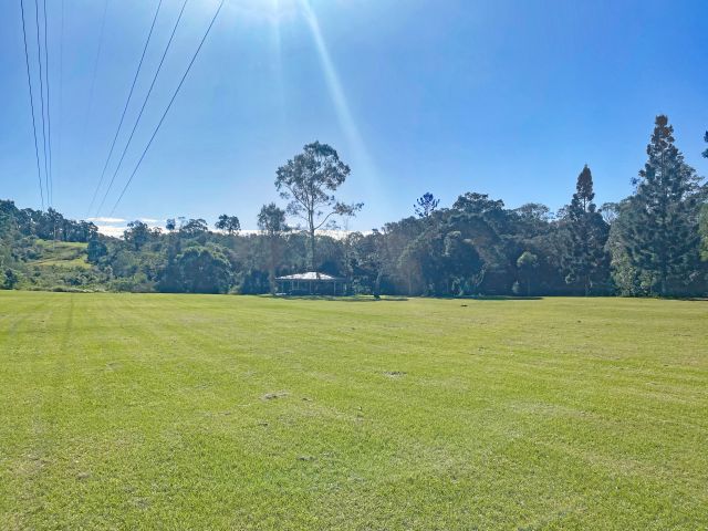 Photo of a large, open grassy area at Bellbird Grove day-use area.
