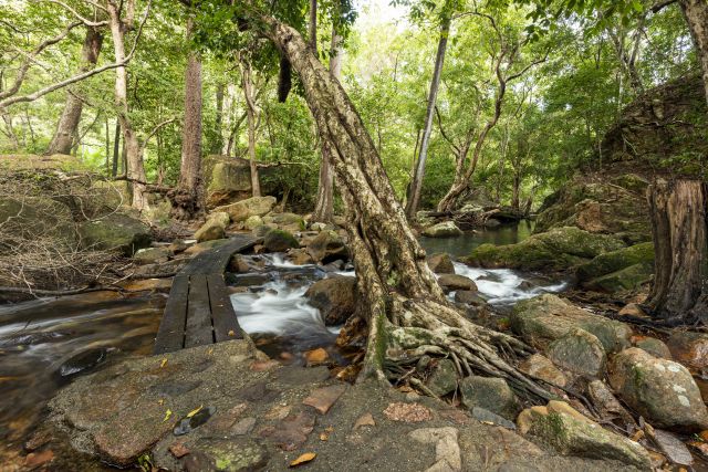 Creek crossing on the Jourama Falls lookout walk 