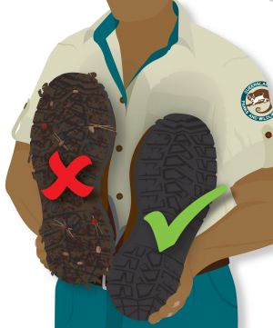 Ranger holding clean shoes for pathogen control