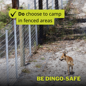 Image of Be dingo-safe social tile - Do choose to camp in fenced areas