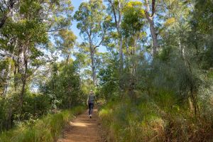 Take care on the walking tracks. Heed all safety advice and be mindful of pea gravel, it’s slippery!