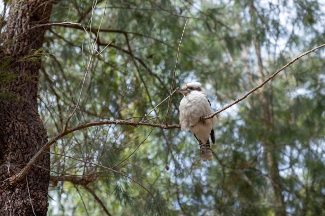 Secure your food to keep food away from wildlife. 