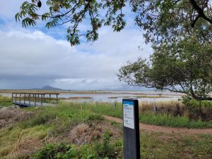 Wetlands in Townsville Town Common Conservation Park