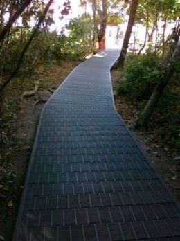 Image of the boardwalk on Green Island.